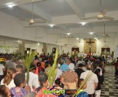 Image00070 Image00070