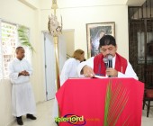 Image00014 Image00014