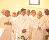 Image00050 Image00050