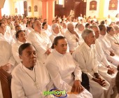 Image00095 Image00095