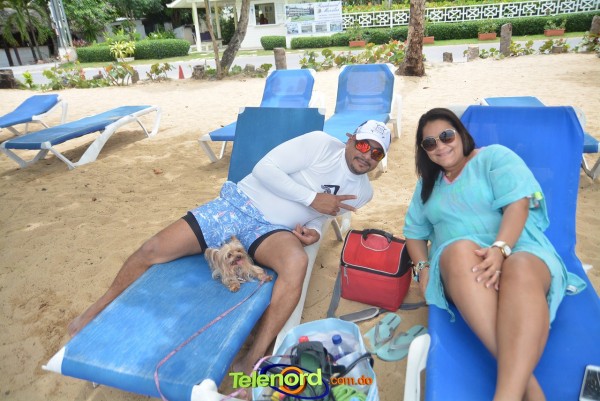 Telenordcomdo00051 Telenordcomdo00051