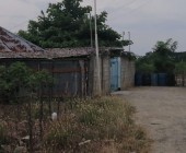 WhatsApp Image 2020 05 21 at 7.05.36 PM  5 