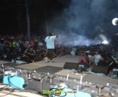 Image00098 Image00098