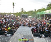 Image00156 Image00156