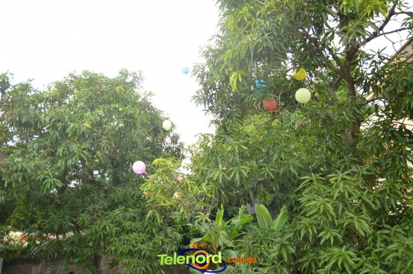 Telenordcomdo00082 Telenordcomdo00082