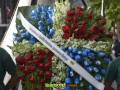 Image00111 Image00111