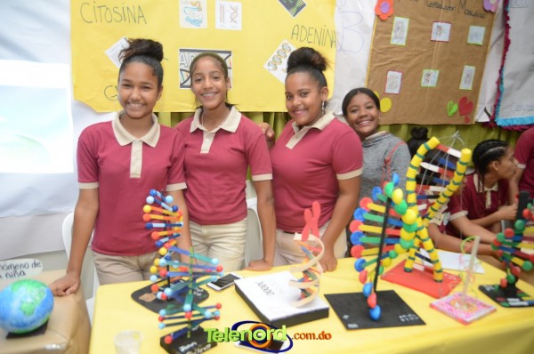 Image00017 Image00017