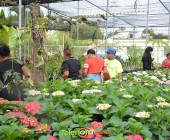 Telenordcomdo00002 Telenordcomdo00002