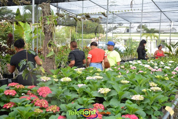 Telenordcomdo00002 Telenordcomdo00002