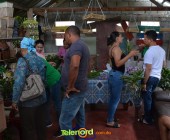 Telenordcomdo00005 Telenordcomdo00005