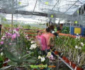 Telenordcomdo00006 Telenordcomdo00006