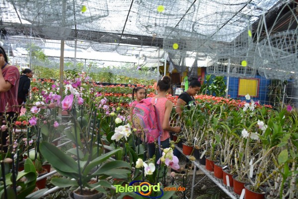 Telenordcomdo00006 Telenordcomdo00006