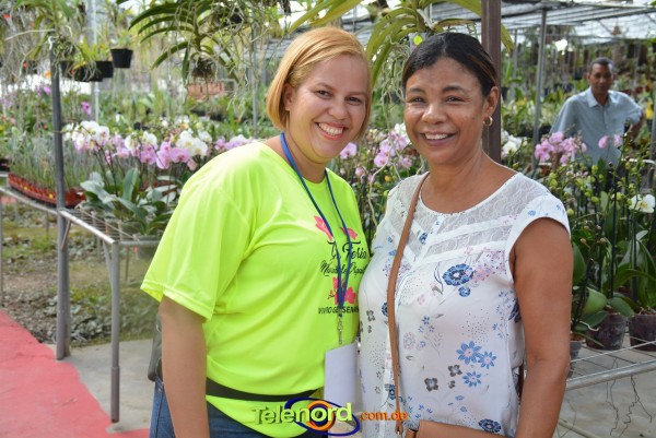 Telenordcomdo00007 Telenordcomdo00007