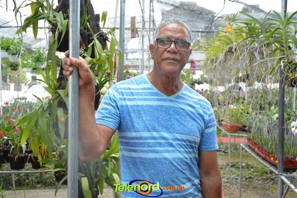 Telenordcomdo00008 Telenordcomdo00008