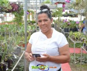 Telenordcomdo00010 Telenordcomdo00010