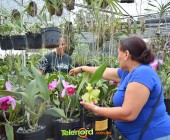 Telenordcomdo00011 Telenordcomdo00011