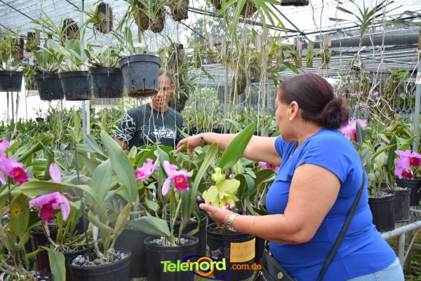 Telenordcomdo00011 Telenordcomdo00011