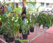 Telenordcomdo00012 Telenordcomdo00012