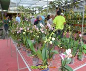 Telenordcomdo00013 Telenordcomdo00013