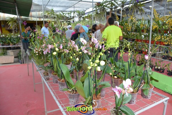 Telenordcomdo00013 Telenordcomdo00013