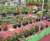 Telenordcomdo00014 Telenordcomdo00014