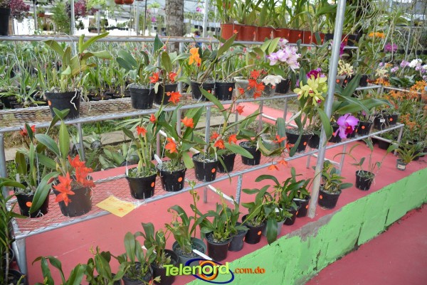 Telenordcomdo00014 Telenordcomdo00014