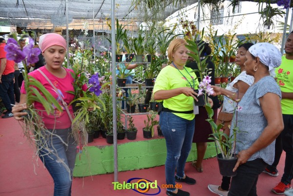 Telenordcomdo00016 Telenordcomdo00016