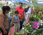 Telenordcomdo00018 Telenordcomdo00018