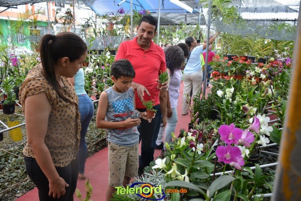 Telenordcomdo00018 Telenordcomdo00018