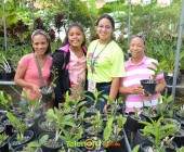 Telenordcomdo00025 Telenordcomdo00025