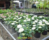 Telenordcomdo00028 Telenordcomdo00028