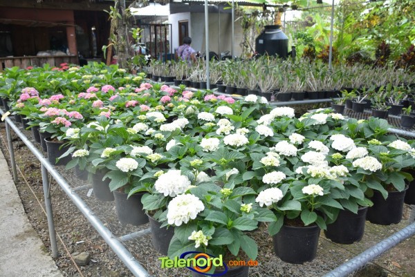 Telenordcomdo00028 Telenordcomdo00028