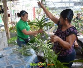 Telenordcomdo00029 Telenordcomdo00029