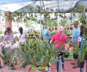 Telenordcomdo00031 Telenordcomdo00031