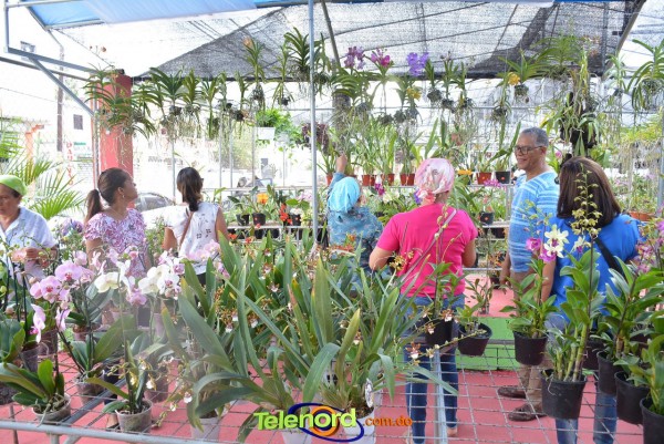 Telenordcomdo00031 Telenordcomdo00031