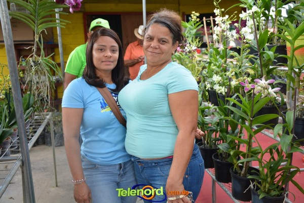 Telenordcomdo00034 Telenordcomdo00034