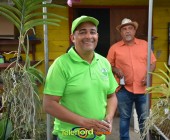 Telenordcomdo00035 Telenordcomdo00035