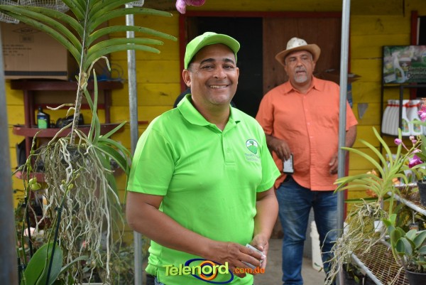 Telenordcomdo00035 Telenordcomdo00035