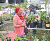 Telenordcomdo00036 Telenordcomdo00036