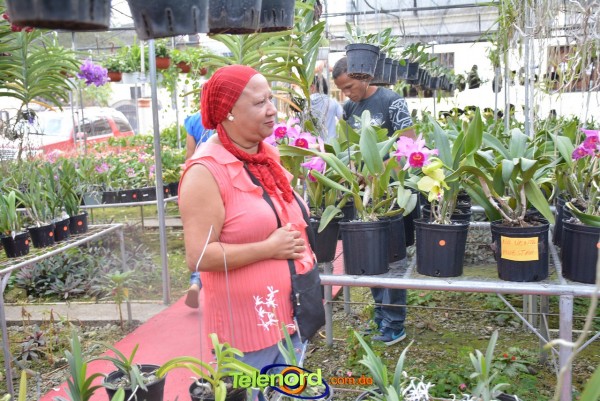 Telenordcomdo00036 Telenordcomdo00036