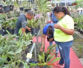 Telenordcomdo00039 Telenordcomdo00039