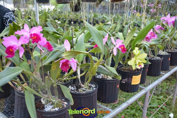 Telenordcomdo00040 Telenordcomdo00040