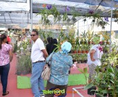 Telenordcomdo00042 Telenordcomdo00042