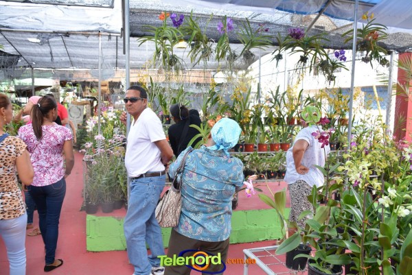 Telenordcomdo00042 Telenordcomdo00042