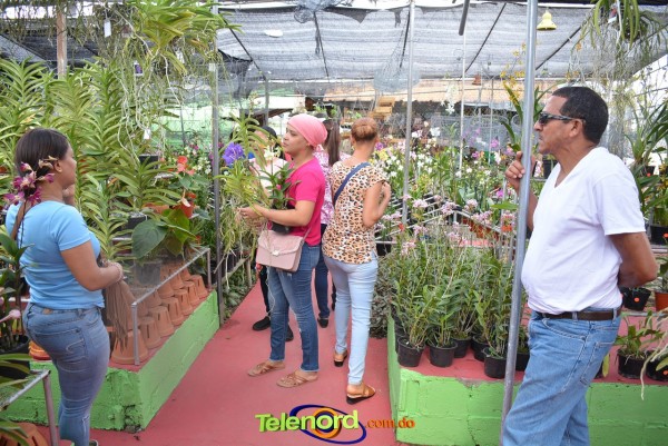 Telenordcomdo00043 Telenordcomdo00043