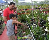 Telenordcomdo00044 Telenordcomdo00044