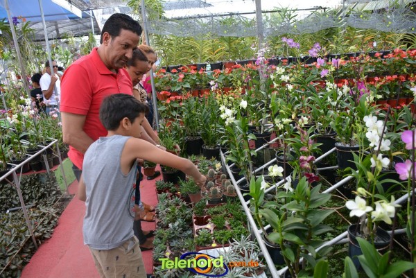 Telenordcomdo00044 Telenordcomdo00044