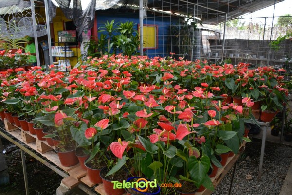 Telenordcomdo00046 Telenordcomdo00046