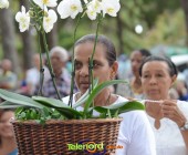 Telenordcomdo00351 Telenordcomdo00351