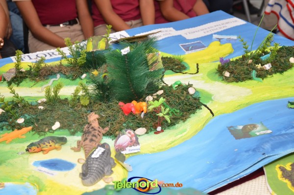 Image00059 Image00059